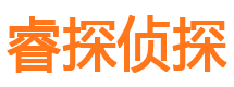 河池市私家侦探